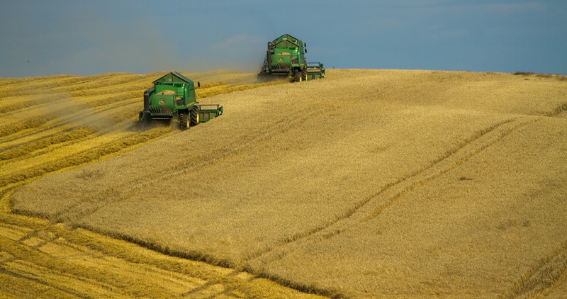 Landbounuus-podcast: Oesvooruitsigte in Noordwes lyk steeds uitstekend  | News Article