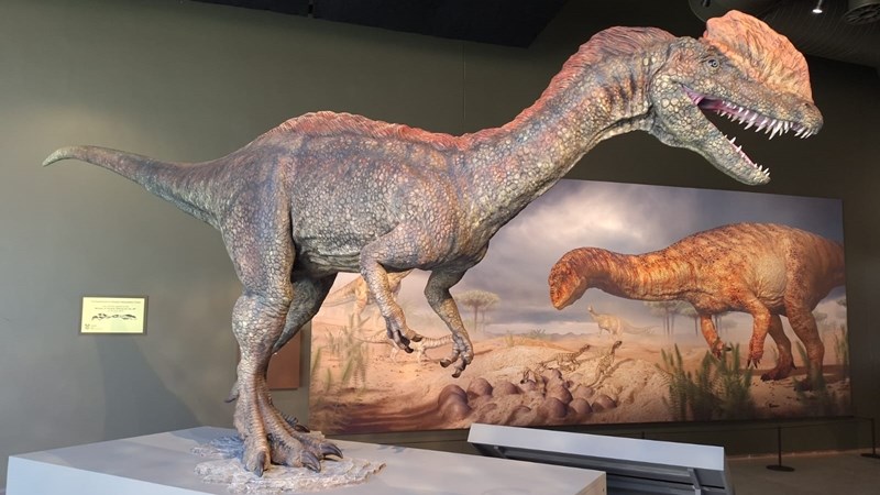 Nearly 9,000 visitors visit Kgodumodumo Dinosaur Centre Nearly 9,000 visitors visit Kgodumodumo Dinosaur Centre | News Article