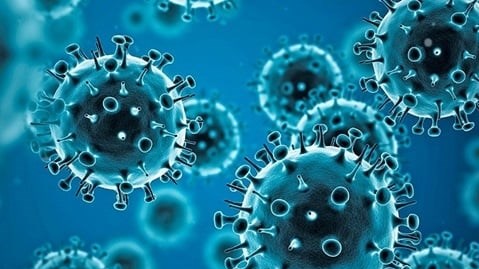 China ends Covid quarantine for travellers in January China ends Covid quarantine for travellers in January | News Article