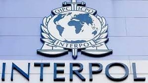 #Interpol, Valke kry Amerikaanse pa en kinders in Upington | News Article