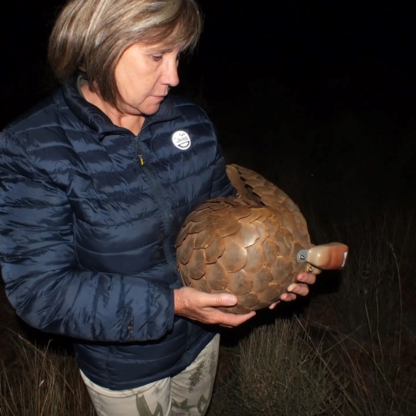 Vrou van  Kalahari se passie gee weerlose spesies tweede kans | News Article