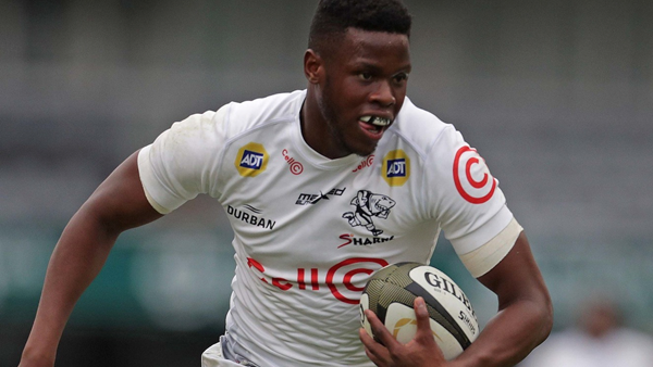 Aphelele Fassi: ‘There is no rivalry in the Springbok backline’ Aphelele Fassi: ‘There is no rivalry in the Springbok backline’ | News Article