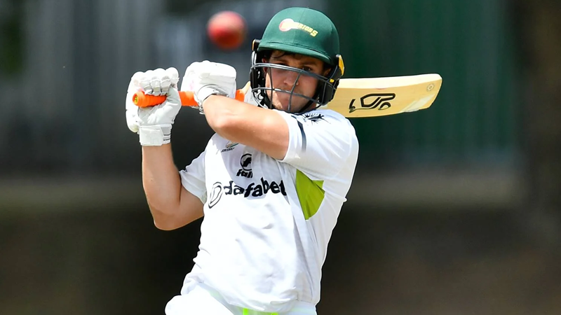 Warriors and Lions claim victory on Sunday | News Article