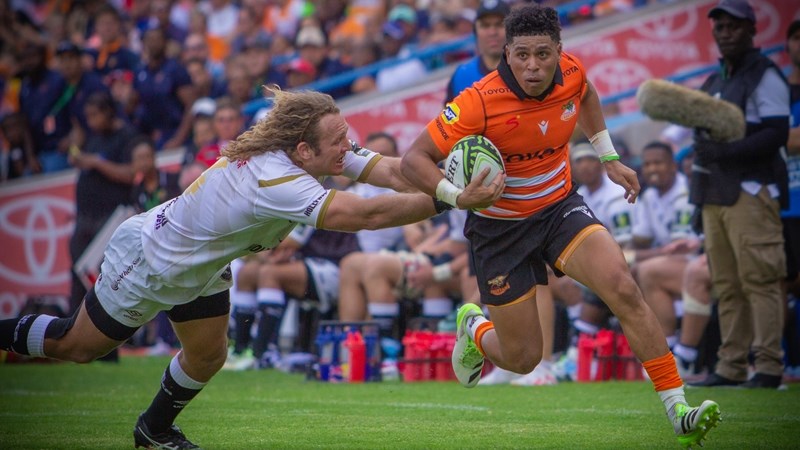 Cheetahs working on an international competition Cheetahs working on an international competition | News Article