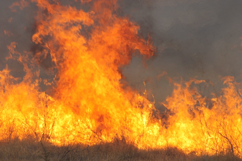 FS fire task team lends a hand in NC  | News Article