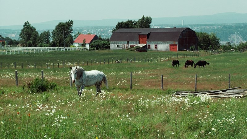 What's new in Farmer’s Weekly? What's new in Farmer’s Weekly? | News Article