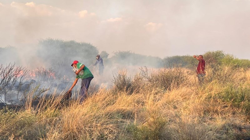 Agri podcast: Department assesses damage caused by fires in Northern Cape  | News Article