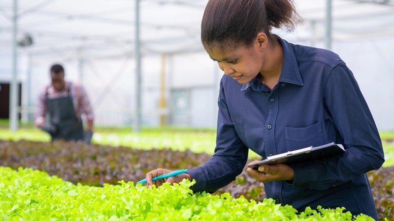 Gebruik tegnologie en innovasie om breë landboutransformasie te laat vlam vat | News Article