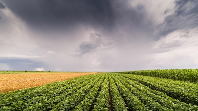 Hou oog op weer met Agriseker Cumulus-verslag | News Article