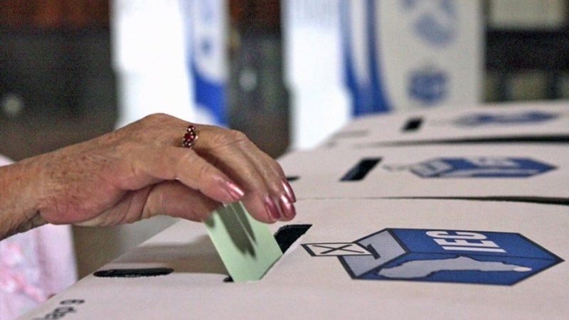 Local elections: IEC to reopen candidate registration process | News Article