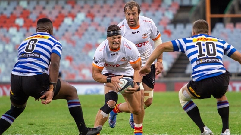 Cheetahs unchanged for Western Province | News Article