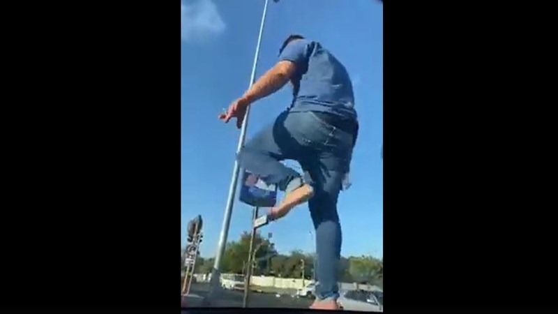 Cheetahs-stut plettervat skoorsoeker in skoolverkeer - VIDEO Cheetahs-stut plettervat skoorsoeker in skoolverkeer - VIDEO | News Article