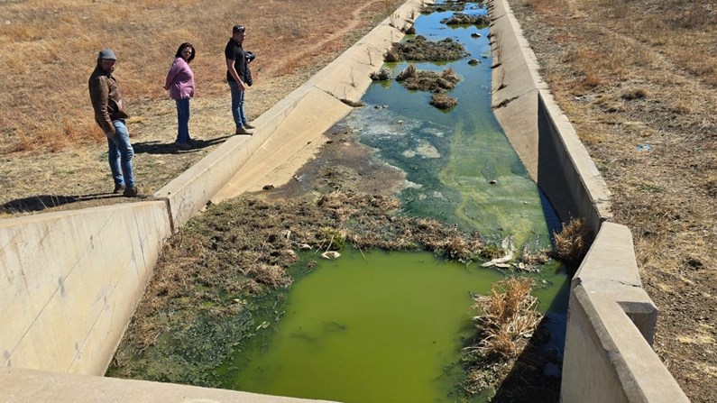 Rioolkrisis: Dringende ingryping nodig in Hillside View en Hamilton, Bloemfontein Rioolkrisis: Dringende ingryping nodig in Hillside View en Hamilton, Bloemfontein | News Article