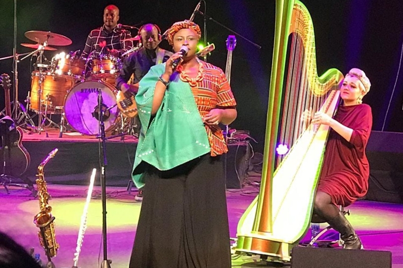‘Wat Gloria Bosman my geleer het’ – musikant  | News Article
