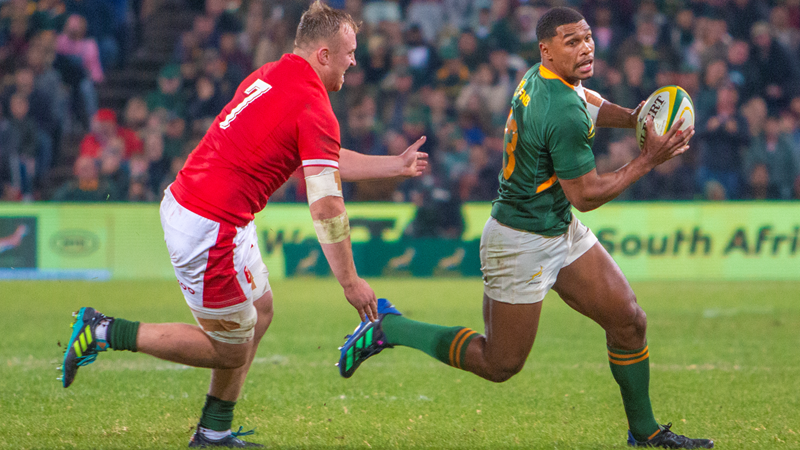 Four RWC winners return for End-of-Year tour Four RWC winners return for End-of-Year tour | News Article