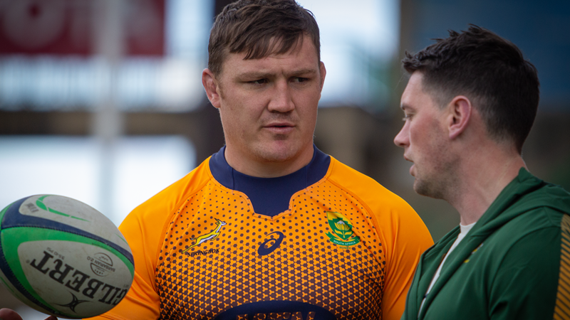 Nienaber names Springbok Rugby Championship training squad Nienaber names Springbok Rugby Championship training squad | News Article