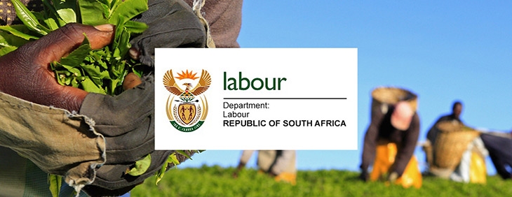 Alleged nepotism in Free State labour appointments investigated | News Article