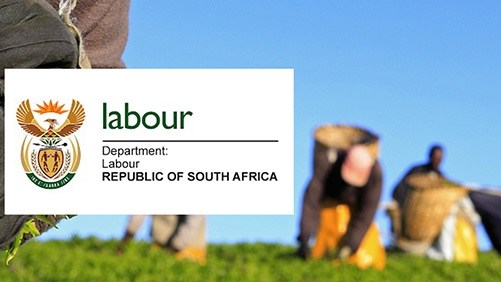 Alleged nepotism in Free State labour appointments investigated Alleged nepotism in Free State labour appointments investigated | News Article