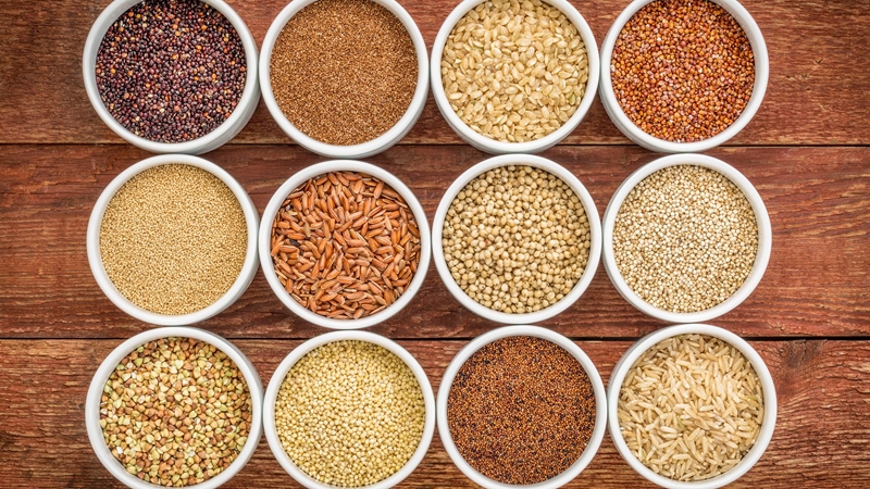 #Agbiz: Rising input costs could soon overshadow grain profits  | News Article