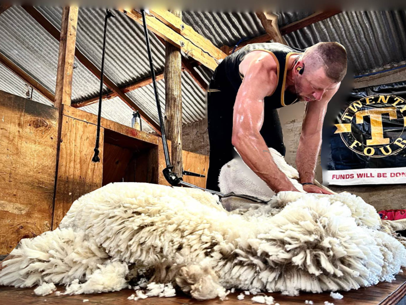 Tienie pak nóg ’n skeerrekord einde Februarie | News Article