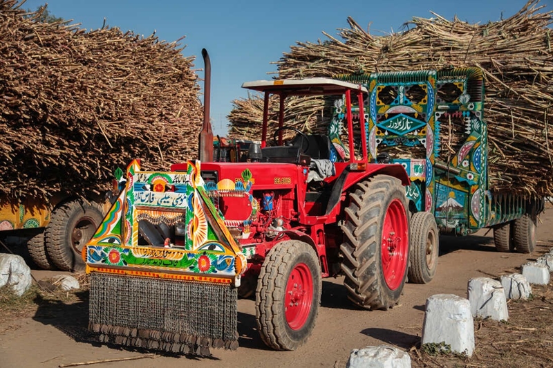 Weird Wide Web: Eers verf, dán werk vir Pakistan-trekkers | News Article