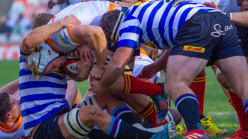 Missed opportunity fuels Cheetahs ahead of WP clash | News Article