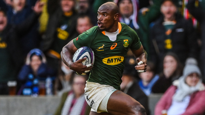 Boks stars dominate nominations Boks stars dominate nominations | News Article