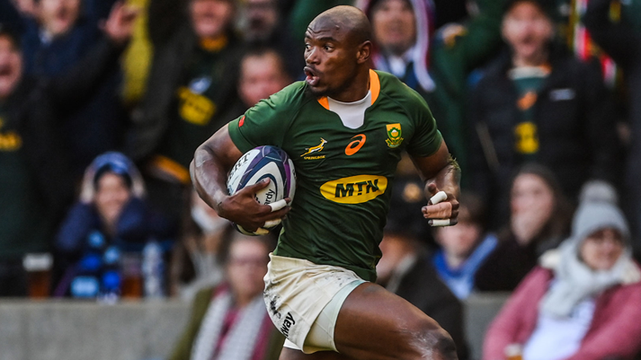 Boks stars dominate nominations | News Article