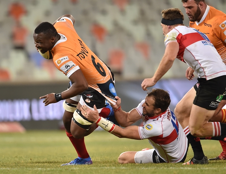 Cheetahs and Lions share points | News Article