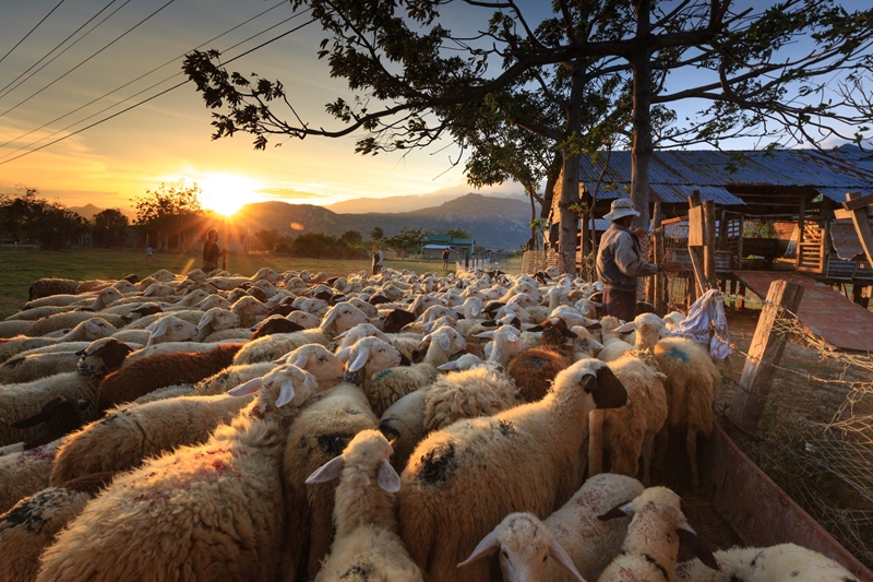 Wat is nuut in Farmer's Weekly? | News Article
