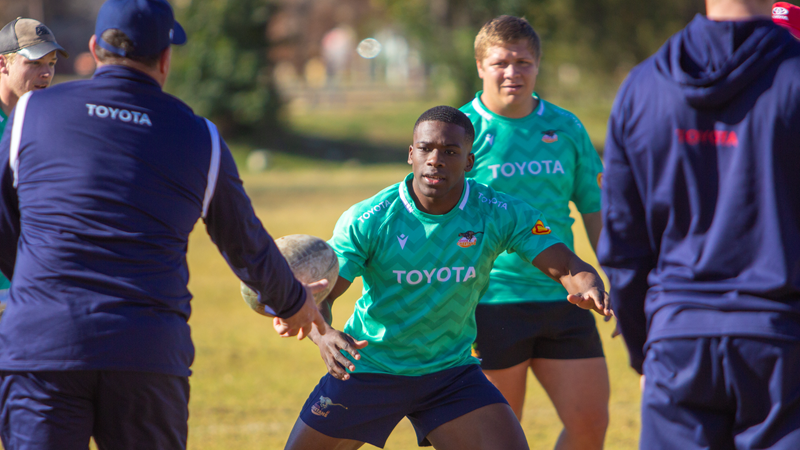 Springbok hopeful Makhaza reports for duty at the Cheetahs Springbok hopeful Makhaza reports for duty at the Cheetahs | News Article