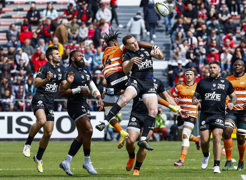 Cheetahs plead for more international games | News Article