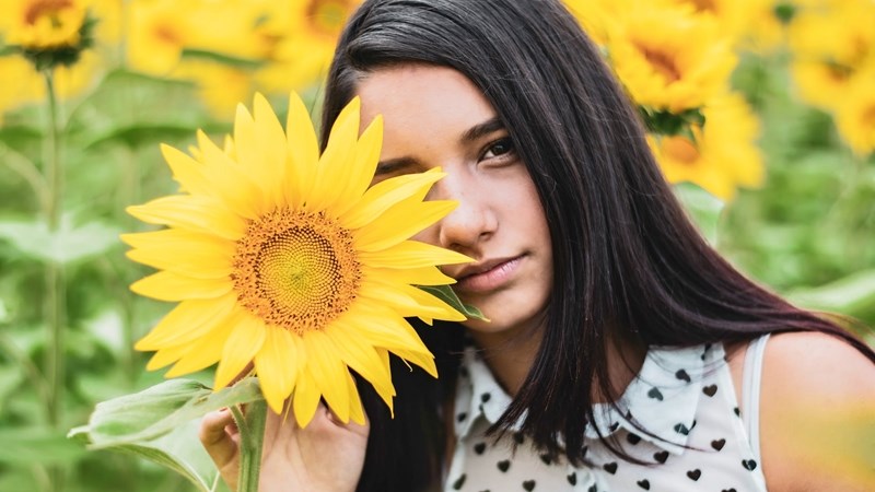 Sonneblomgewas speel nié tweede viool nie Sonneblomgewas speel nié tweede viool nie | News Article