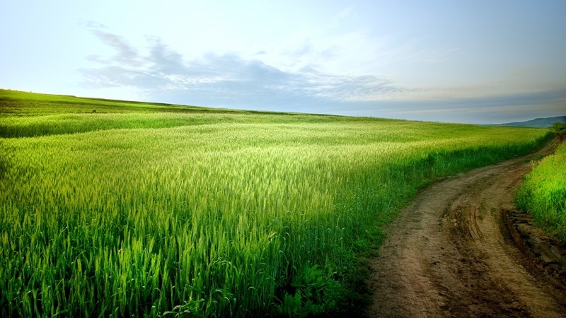Agri-Uur: Jongste Safex-nuus Agri-Uur: Jongste Safex-nuus | News Article