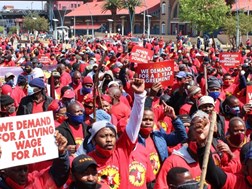 'Drop in unemployment nothing to celebrate' - Numsa | News Article