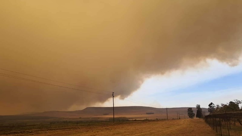 Vrystaat Landbou verleen hulp ná verwoestende brande op Memel, nog nodig | News Article