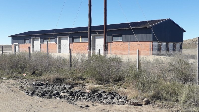 Vrystaat Landbou is bekommerd oor hemp-megaprojek | News Article