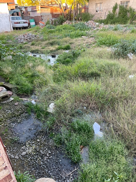 Bloemfontein woman (83) living in yard with sewage – VIDEO | News Article