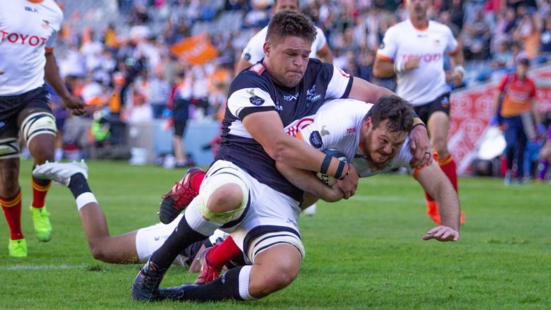 Cheetahs thrilled with Van der Merwe call up | News Article