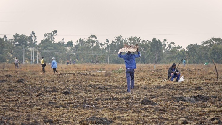 Agriculture addresses land evictions, consequences of illegal land occupation  | News Article