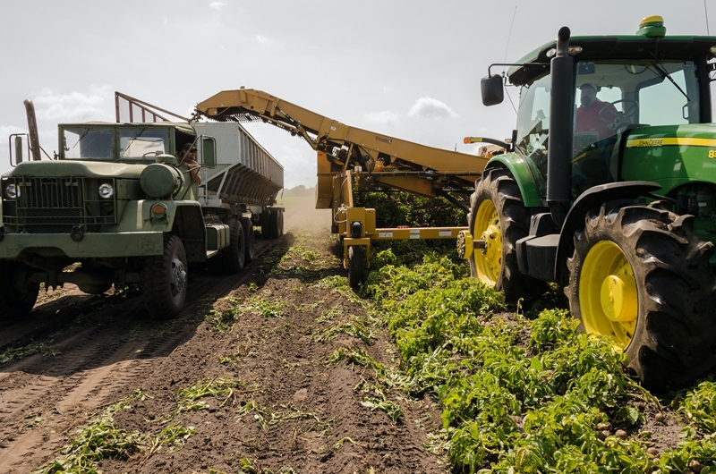 Landbou se BBP krimp in eerste kwartaal van 2023 | News Article