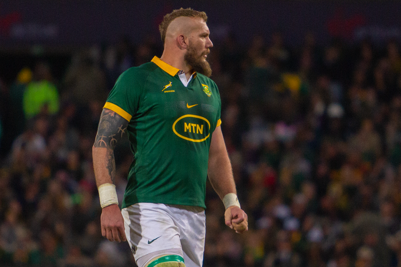 Ireland series prepared Boks for Rugby Championship | News Article