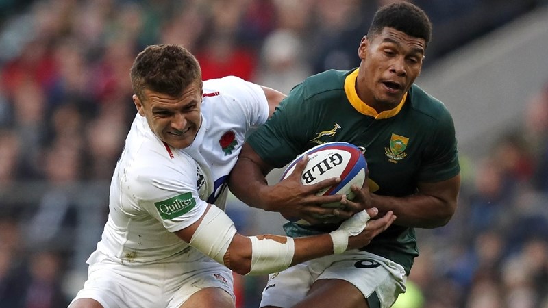 Stormers have some Boks back for Zebre Stormers have some Boks back for Zebre | News Article
