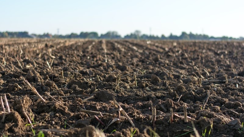 Agri SA wil hê onteieningswetsontwerp moet heroorweeg word Agri SA wil hê onteieningswetsontwerp moet heroorweeg word | News Article