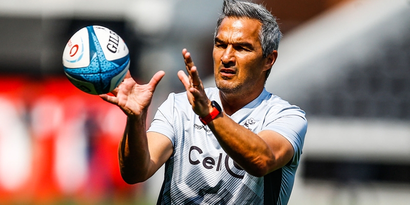 Another round of “SA v Wales” in the URC | News Article