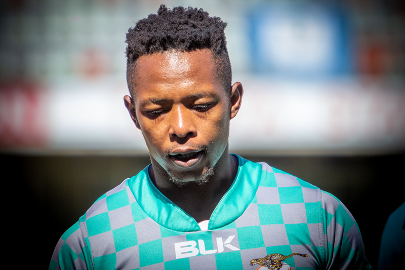 Cheetahs impressed with Nkosi's professionalism | News Article