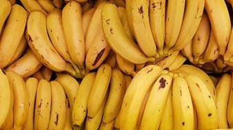 Piesanggesprekke tussen Tanzanië, Suid-Afrika in volle gang Piesanggesprekke tussen Tanzanië, Suid-Afrika in volle gang | News Article
