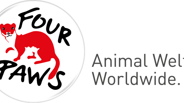 Four Paws voice their disappointment with COP26 Four Paws voice their disappointment with COP26 | News Article