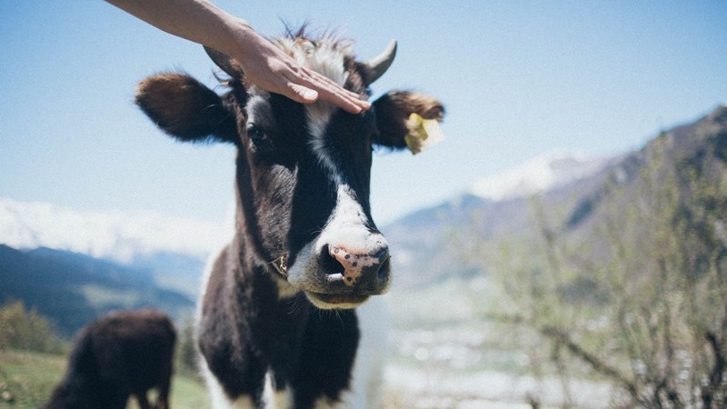 Wat is nuut in Farmer's Weekly? | News Article