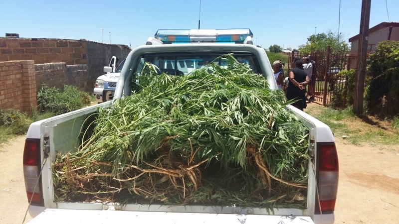 Police seize drugs, arrest suspects in Kestell drug bust | News Article